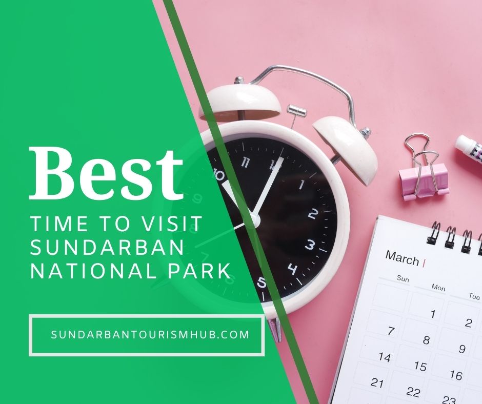 Best time to visit Sundarban National Park